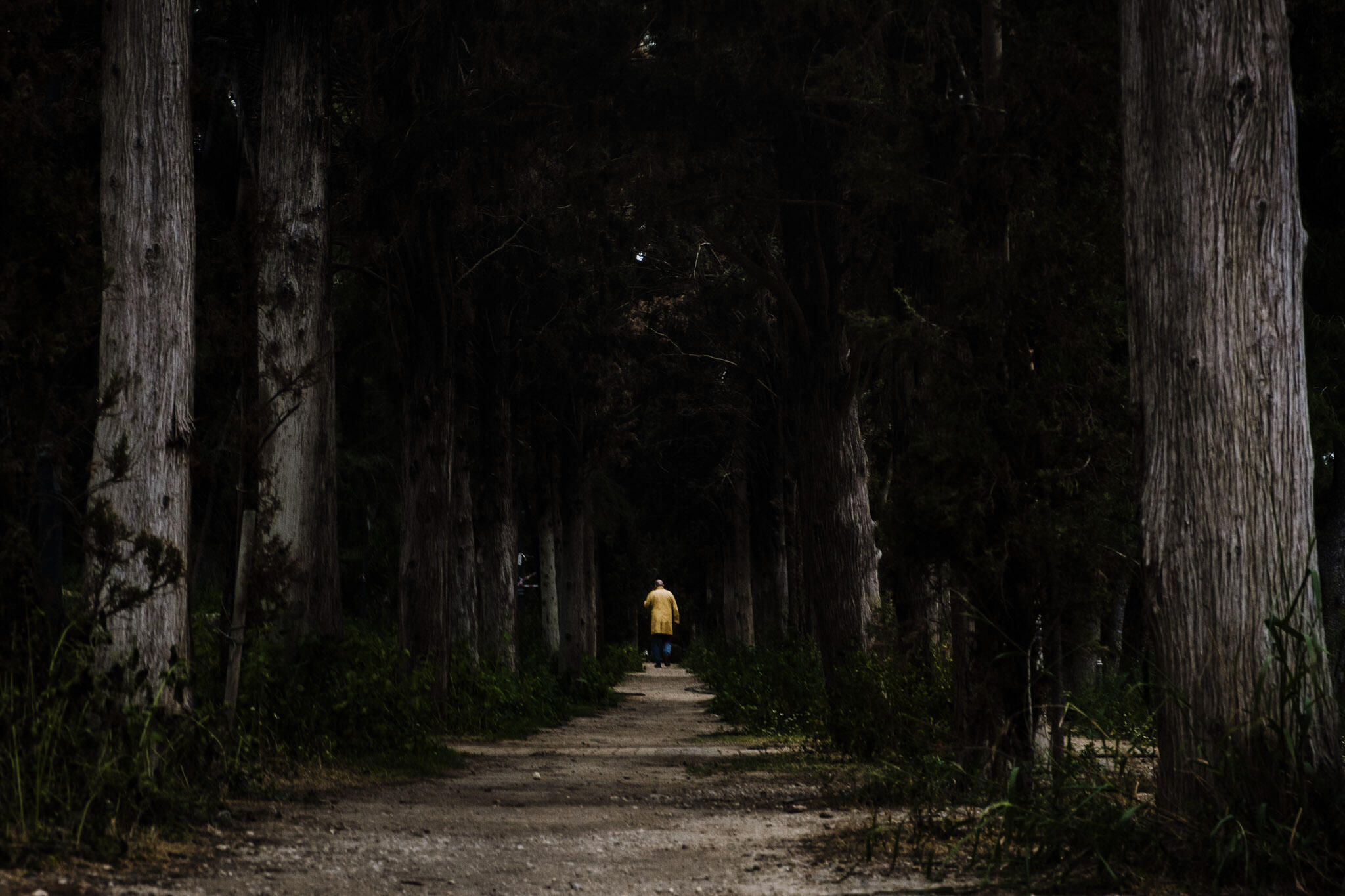 Untitled Untitled
