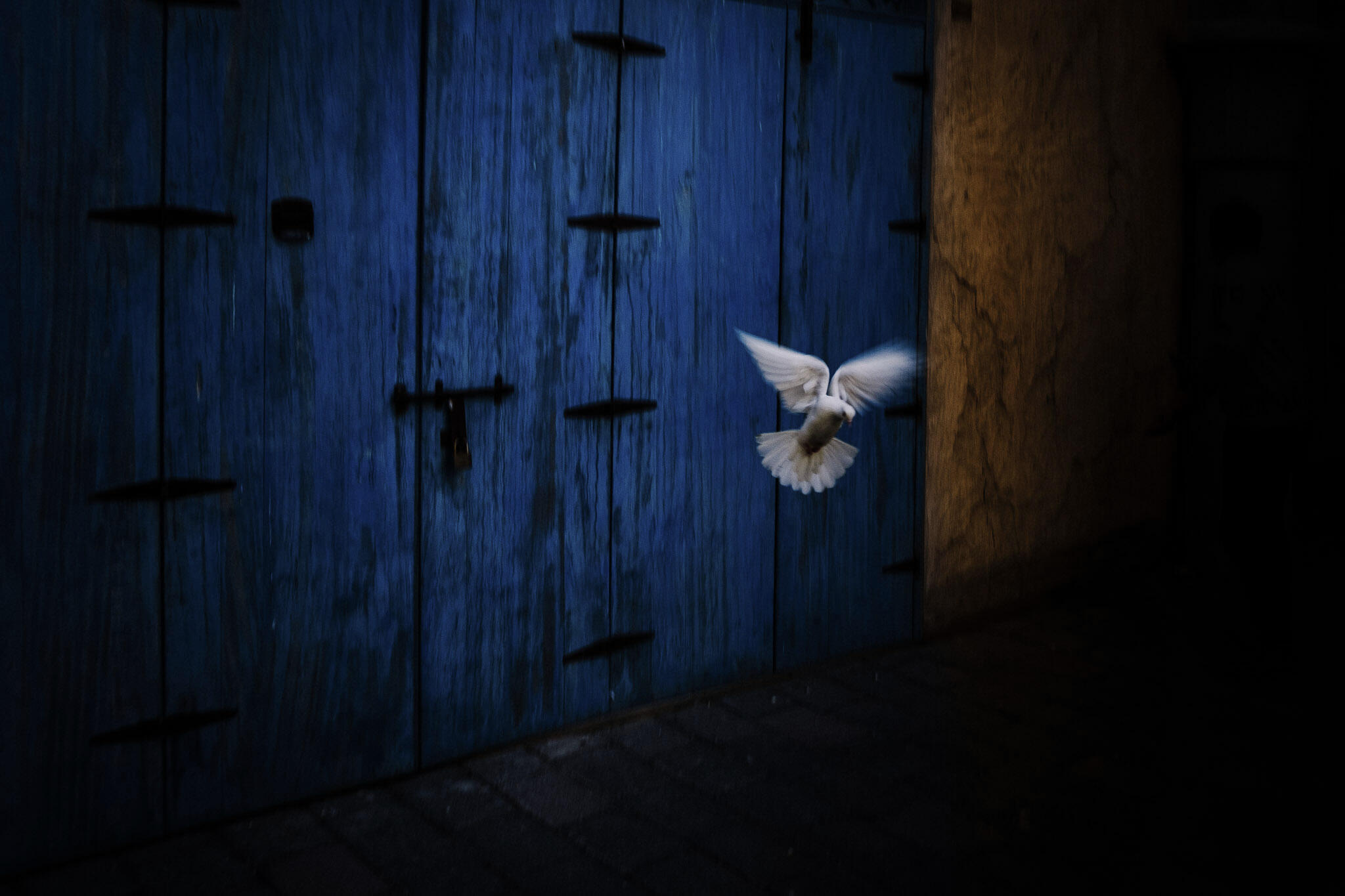 Untitled Untitled